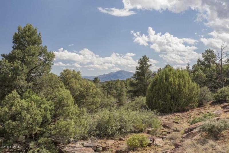 20160705231002164696000000-o[1]