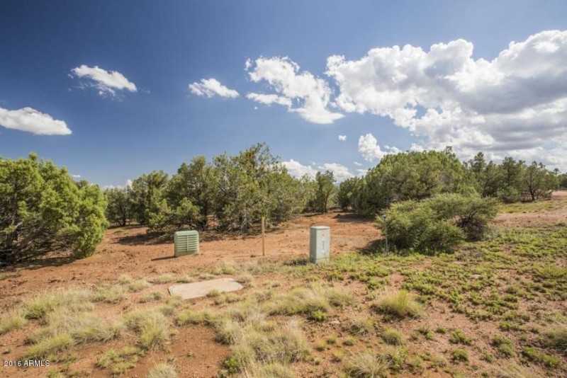 20160705231012629850000000-o[1]