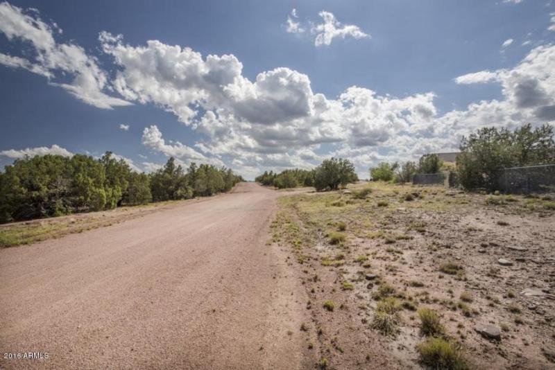 20160705231016092665000000-o[1]