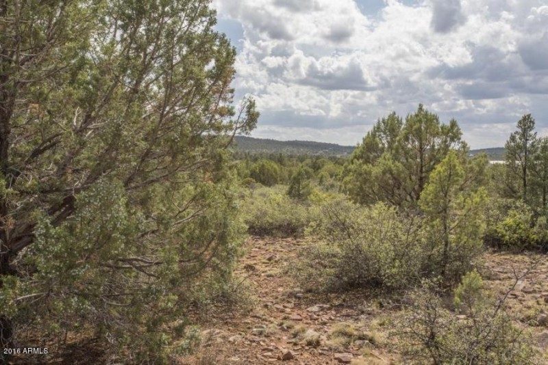 20160705231030386740000000-o[1]