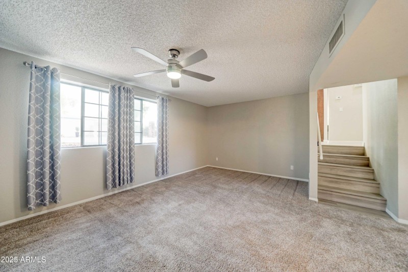 Lower level family room