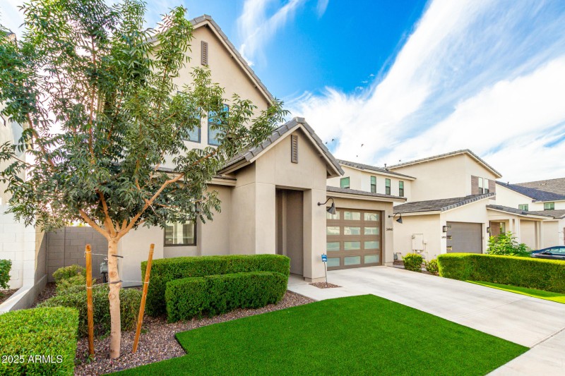 Always green & saves water