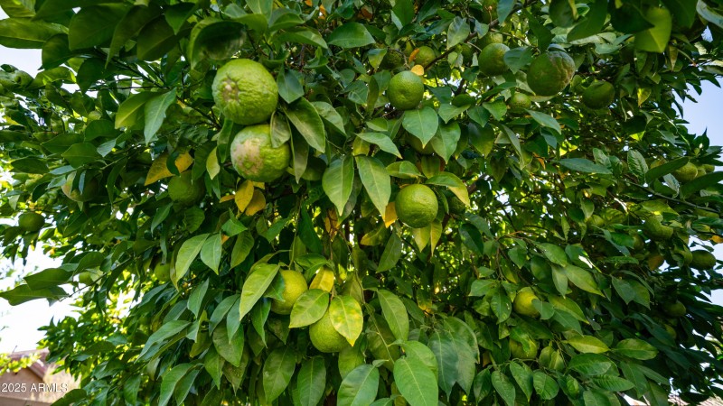 561 W Yellowstone Way Exterior Photos-7