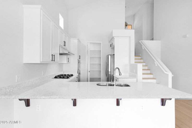 49-web-or-mls-16-web-or-mls-P1156297