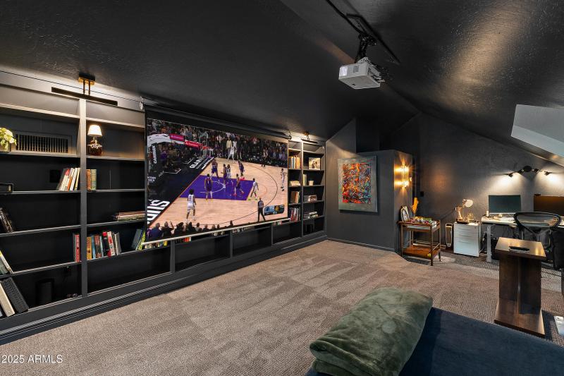 Color-Drenched Media Room