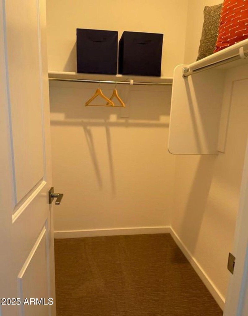 Guest Walk-in Closet