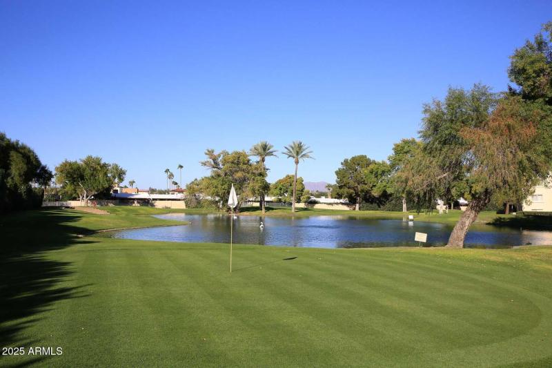 Scottsdale Shadows-Golf Course