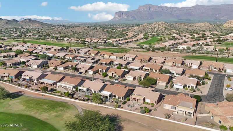 44-print-E Texas Ebony Dr-S1311-044