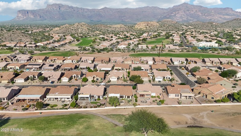 45-print-E Texas Ebony Dr-S1311-045