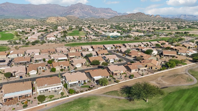 46-print-E Texas Ebony Dr-S1311-046