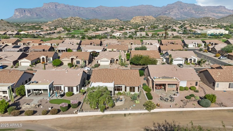 48-print-E Texas Ebony Dr-S1311-048