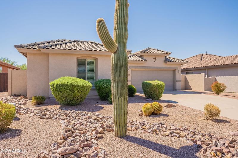 2-web-or-mls-Elderberry-2