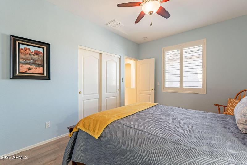 24-web-or-mls-Elderberry-24