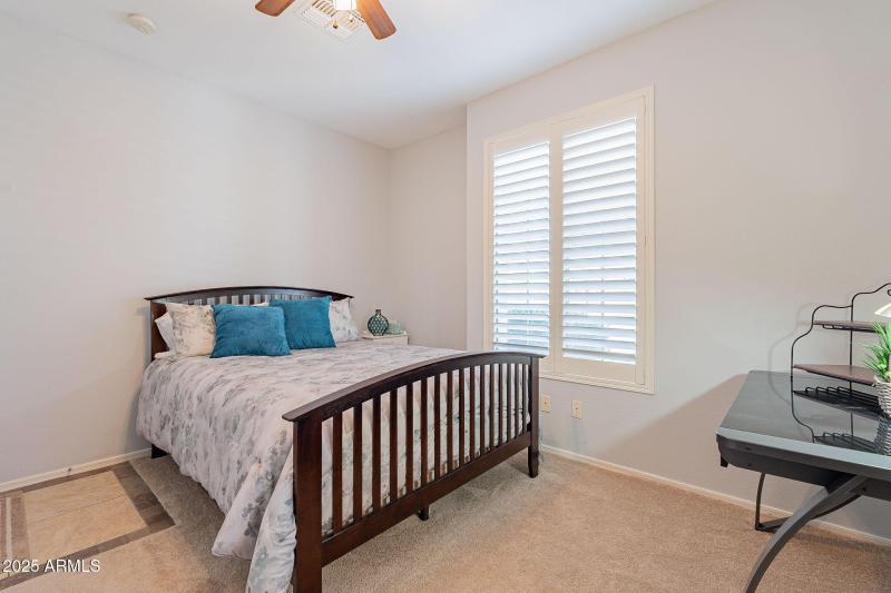 39-web-or-mls-Elderberry-39