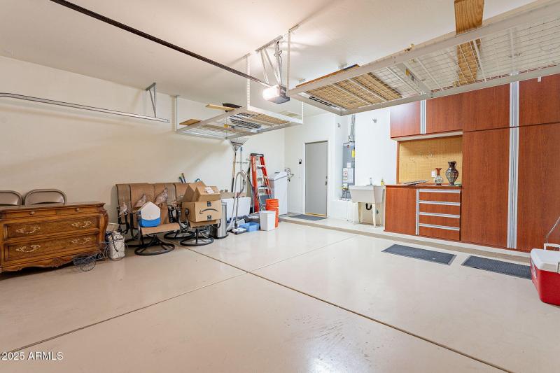 45-web-or-mls-Elderberry-45