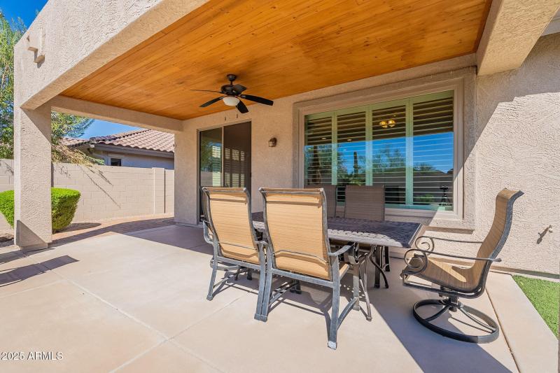 48-web-or-mls-Elderberry-48