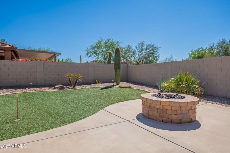 52-web-or-mls-Elderberry-52