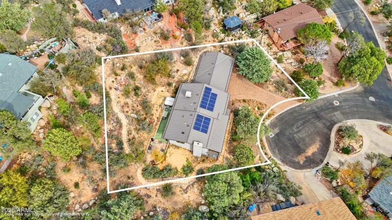 Birds Eye with Lot Lines