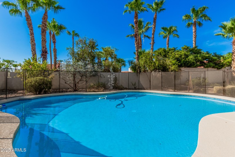 28 - Forest Hills 816