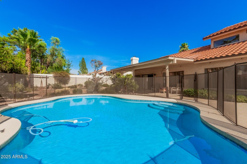 29 - Forest Hills 816