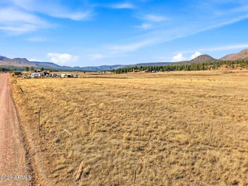 Parcel-101-73-023-Alpine-AZ-16