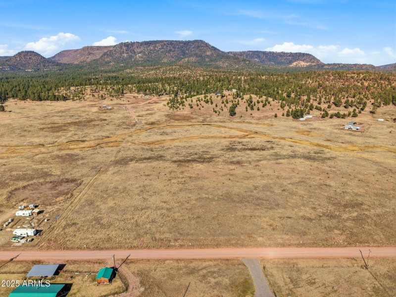 Parcel-101-73-023-Alpine-AZ-2