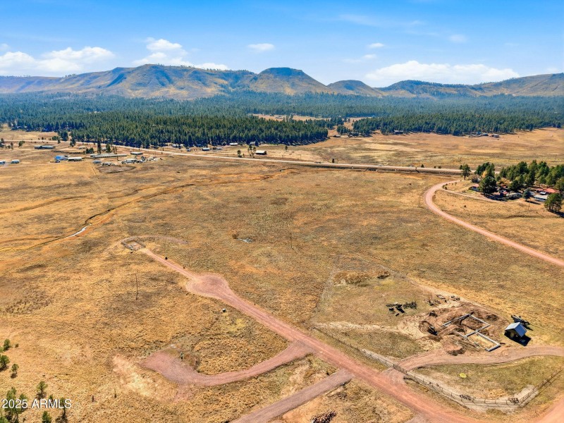 Parcel-101-73-025-Alpine-AZ-1