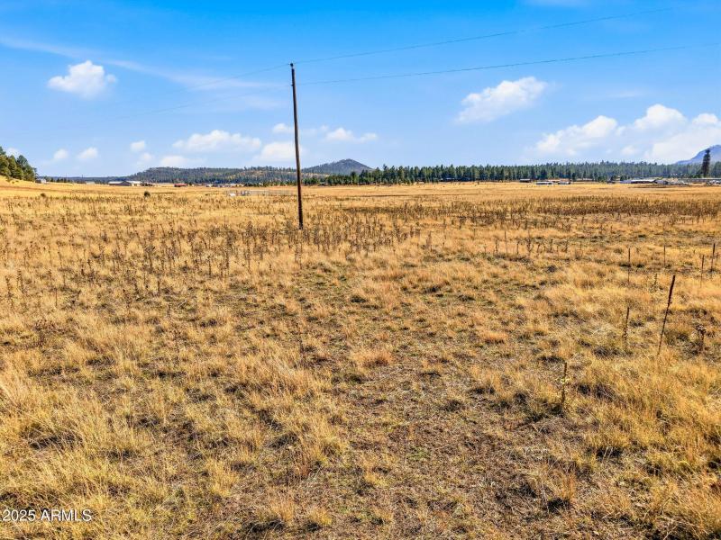 Parcel-101-73-025-Alpine-AZ-15