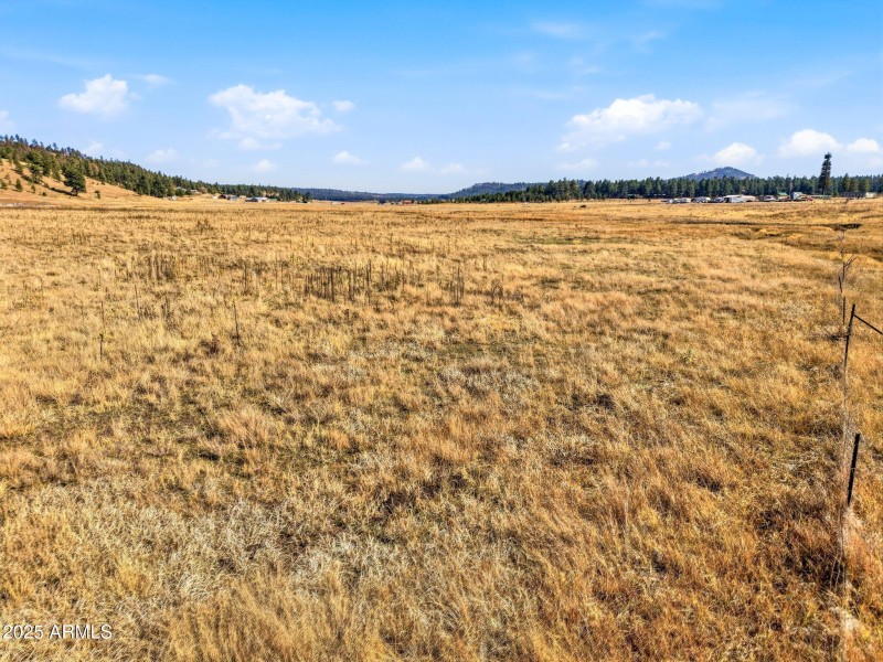 Parcel-101-73-035-Alpine-AZ-17