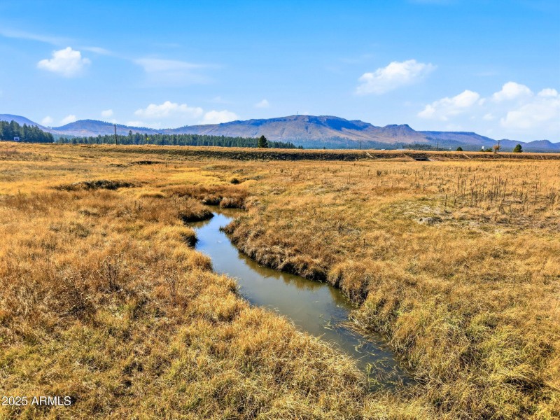 Parcel-101-73-035-Alpine-AZ-21