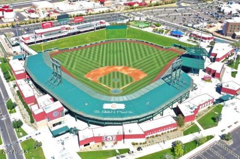 cubs spring training