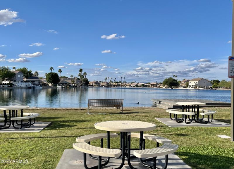 Community picnic are