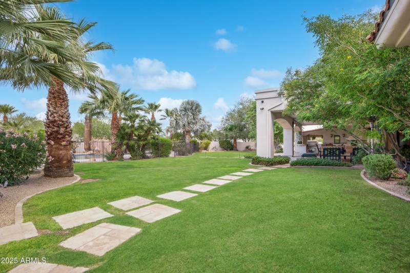 Lush Green grassy yard