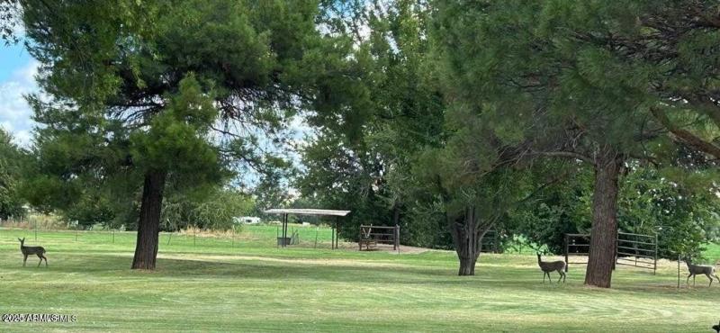 726 E. Riverglen Dr..jpg-11