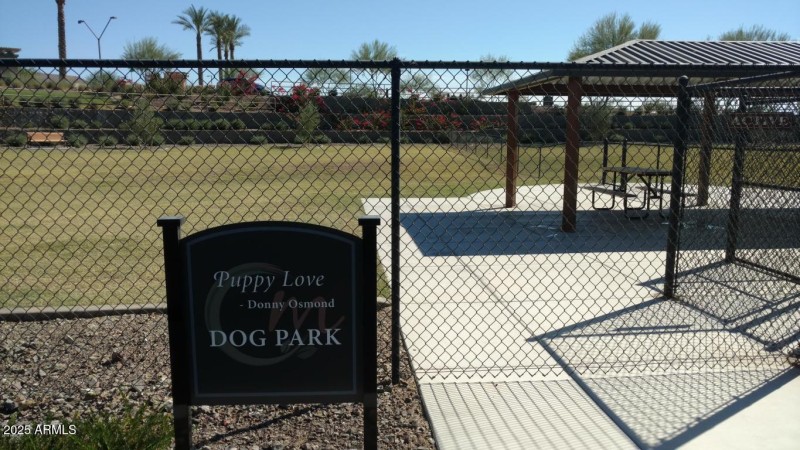 Dog Park