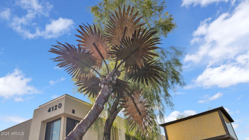 28-web-or-mls-P1309955