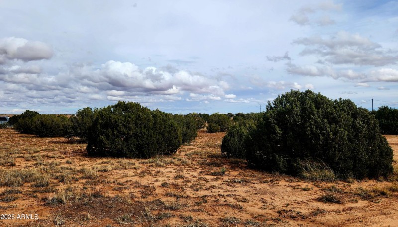 Front view from road Junipers