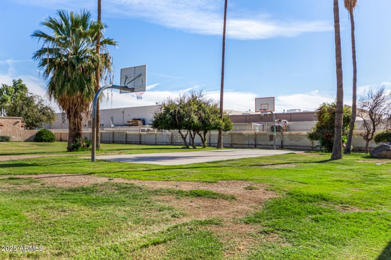 basketball court