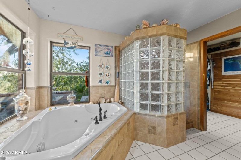 Master Bath and Spa Tub (3)