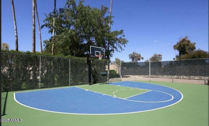 Basketball court