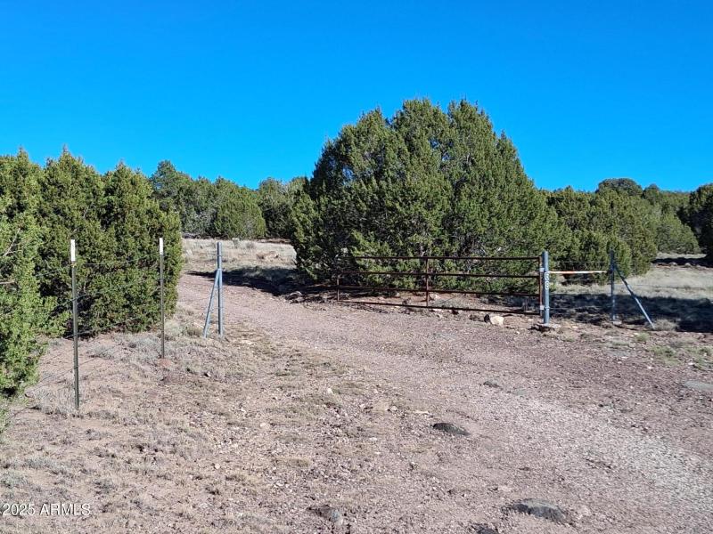 26 COUNTY ROAD N8171