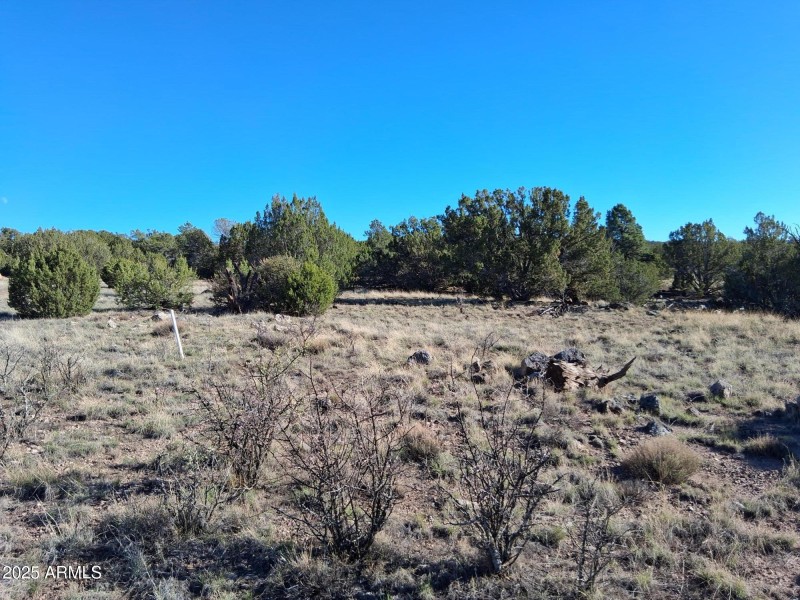 28 COUNTY ROAD N8171