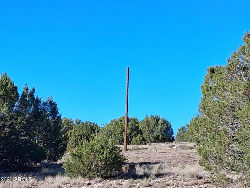 26 COUNTY ROAD N8171