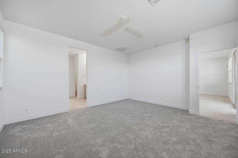 hj-az-phoenix-asante-discovery-quartz-lo