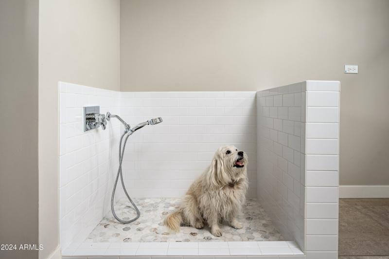 Dog Shower
