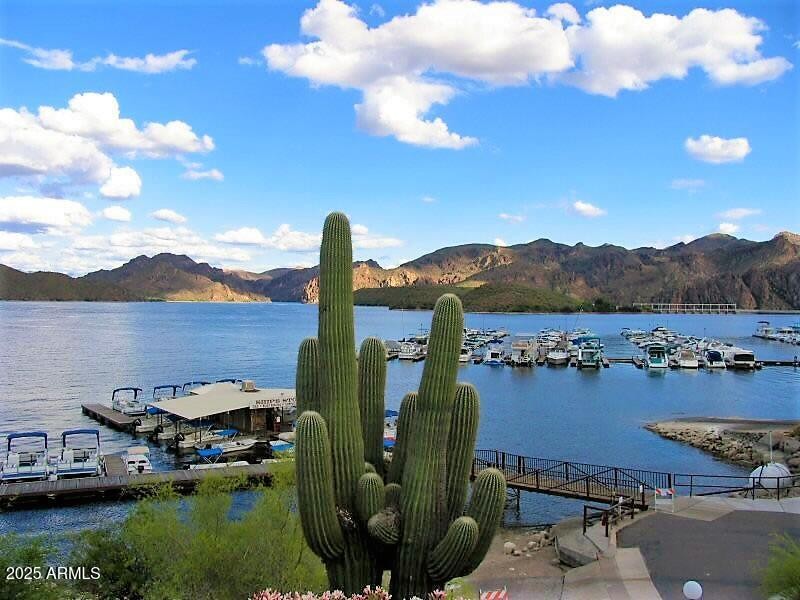 Saguaro Lake Marina
