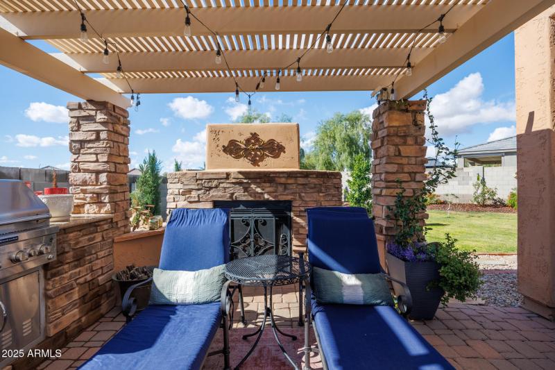 Back Yard Barbecue View 1