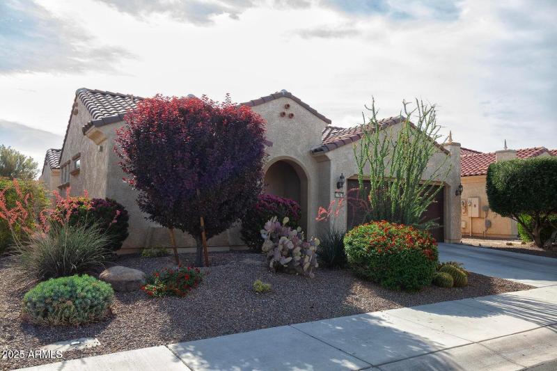 20250513000701585496000000-o