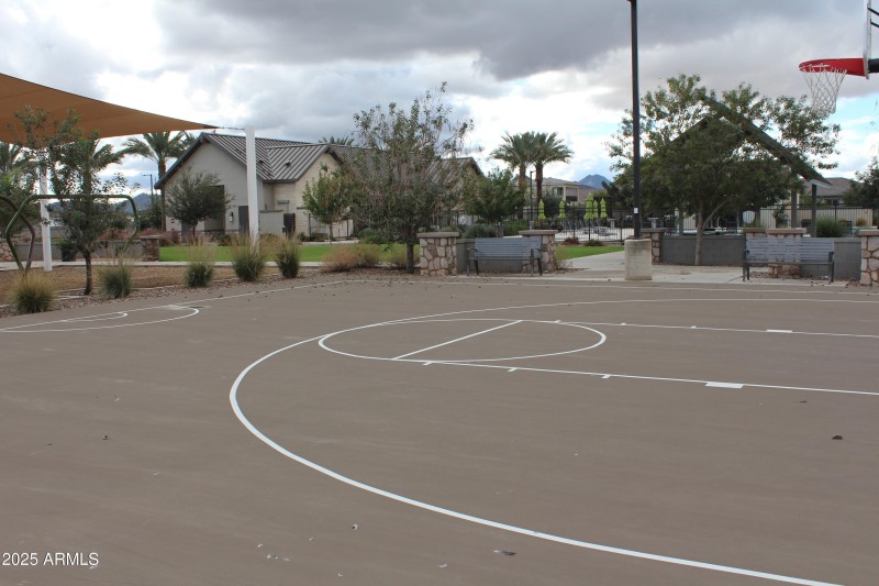 Basketball Court