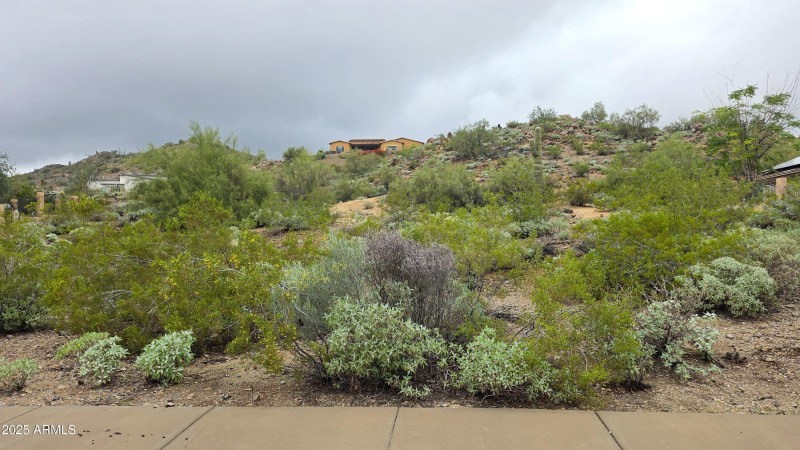 Molly green line 2.1